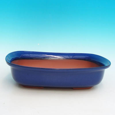 Keramik Bonsai Schüssel H 10 - 37 x 27 x 10 cm, blau - 37 x 27 x 10 cm - 1