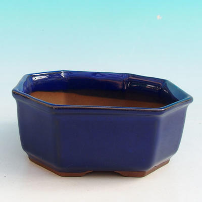 Keramik Bonsai Schüssel H 13 - 11,5 x 11,5 x 4,5 cm, blau - 11,5 x 11,5 x 4,5 cm - 1