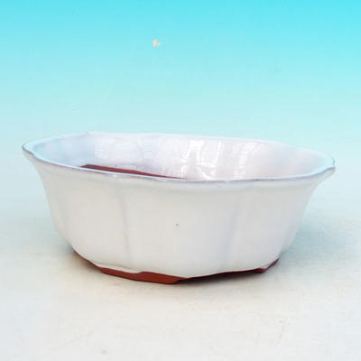Bonsaischale aus Keramik H 06 - 14,5 x 14,5 x 4,5 cm, weiß - 14,5 x 14,5 x 4,5 cm - 1