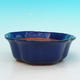Bonsaischale aus Keramik H 06 - 14,5 x 14,5 x 4,5 cm, blau - 14,5 x 14,5 x 4,5 cm - 1/3
