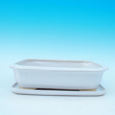 Bonsai-Schale und Tablett mit Wasser H 20, Weiß - 1