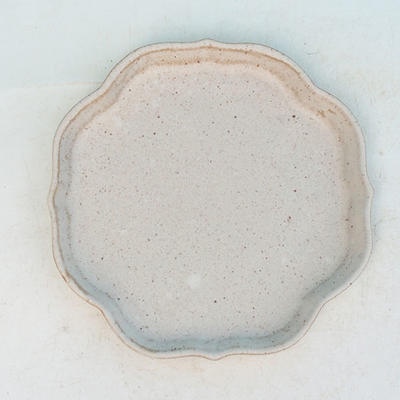 Bonsai Wasserschale H 06 - 13,5 x 13,5 x 1,5 cm, beige - 13,5 x 13,5 x 1,5 cm - 1
