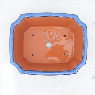 Bonsaischale 22 x 17,5 x 6 cm, Farbe blau - 2