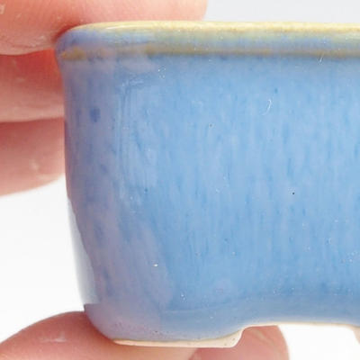 Mini Bonsai Schüssel 4 x 3,5 x 2,5 cm, Farbe blau - 2