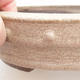 Bonsai-Keramikschale - 19 x 19 x 5,5 cm, beige Farbe - 2/3