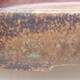 Bonsaischale aus Keramik 15,5 x 10,5 x 3 cm, braune Farbe - 2/3