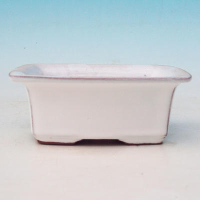 Bonsai Keramikschale H 11, weiß - 2