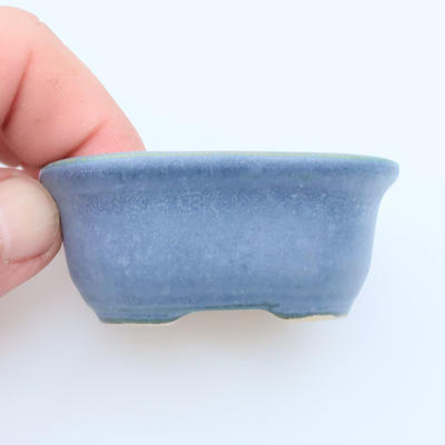 Mini Bonsai Schale - 2