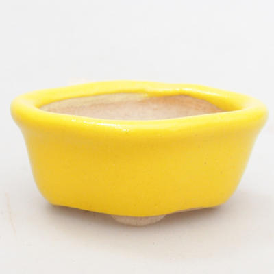 Mini Bonsai Schüssel 4,5 x 4 x 2 cm, gelbe Farbe - 2