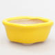 Mini Bonsai Schüssel 4,5 x 4 x 2 cm, gelbe Farbe - 2/4
