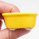 Mini Bonsai Schüssel 4,5 x 4 x 2 cm, gelbe Farbe - 2/3