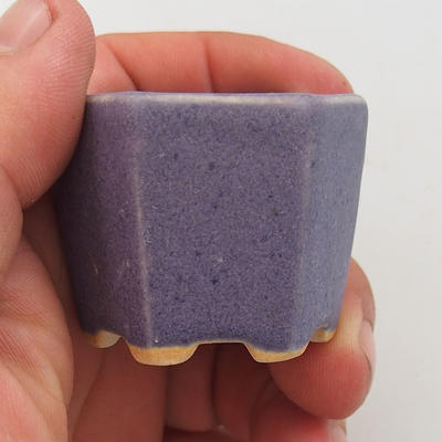 Mini-Bonsaischale 4,5 x 4,5 x 3,5 cm, Farbe violett - 2