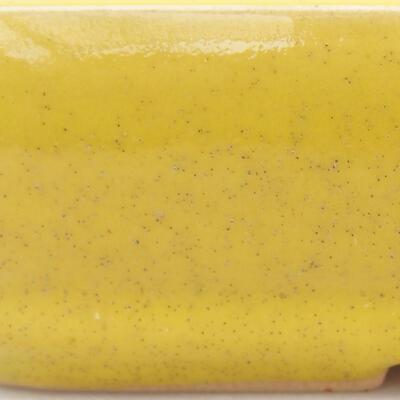 Keramik-Bonsaischale 18 x 13 x 3,5 cm, Farbe gelb - 2