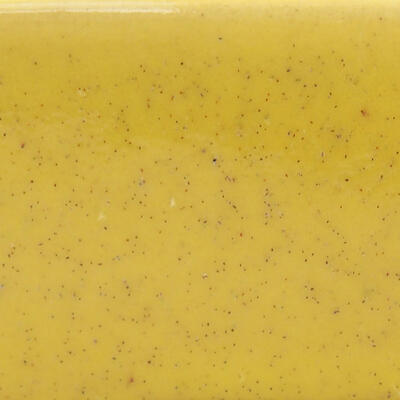 Keramik-Bonsaischale 13 x 10,5 x 4 cm, Farbe gelb - 2