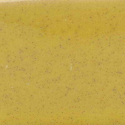 Keramik-Bonsaischale 10,5 x 9 x 4 cm, Farbe gelb - 2