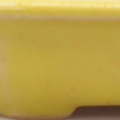 Keramik-Bonsaischale 12,5 x 11,5 x 2 cm, Farbe gelb - 2