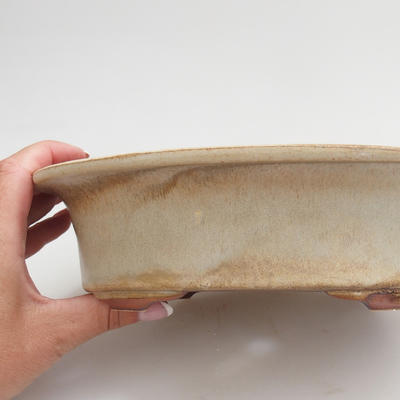 Keramik Bonsai Schüssel 22 x 17 x 6 cm, Farbe beige - 2