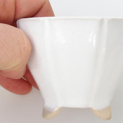 Keramik-Bonsaischale 2. Qualität - im Gasofen bei 1240 ° C gebrannt - 2