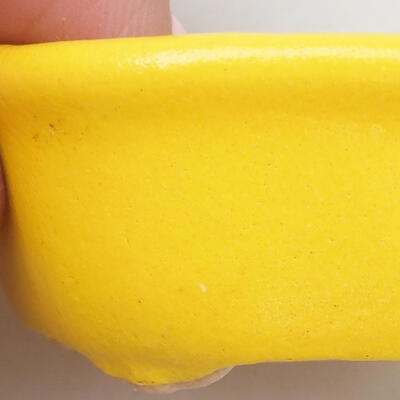 Mini-Bonsaischale 4,5 x 3,5 x 2,5 cm, Farbe gelb - 2