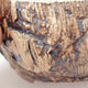 Keramik-Bonsaischale 9,5 x 9,5 x 5,5 cm, Farbe braun - 2/3