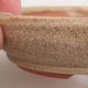 Keramik Bonsai Schüssel 11 x 11 x 3 cm, Farbe beige - 2/3