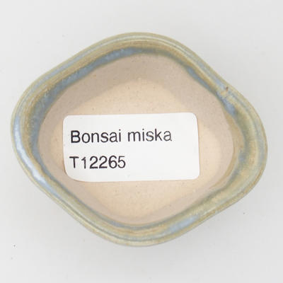 Mini Bonsai Schüssel - 2