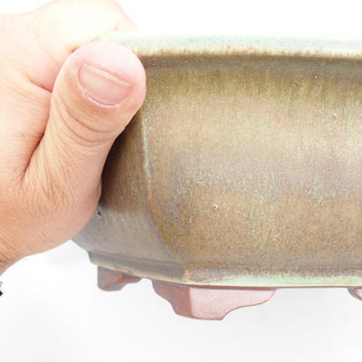 Keramik Bonsaischale 29 x 25 x 9 cm, braun-grüne Farbe - 2