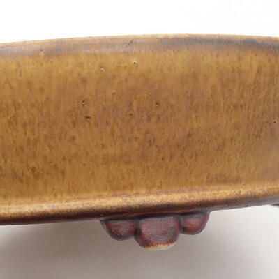 Keramik-Bonsaischale 15 x 15 x 5 cm, Farbe bräunlichgelb - 2