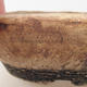 Keramische Bonsai-Schale 15,5 x 15,5 x 5 cm, graue Farbe - 2. Qualität - 2/3