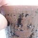 Keramik-Bonsaischale 8 x 8 x 9,5 cm, Farbe braun - 2/3