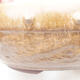 Keramische Bonsai-Schale 19,5 x 19,5 x 7,5 cm, braune Farbe - 2/4