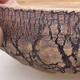 Keramik Bonsai Schüssel 20 x 20 x 6,5 cm, Farbe rissig - 2/4