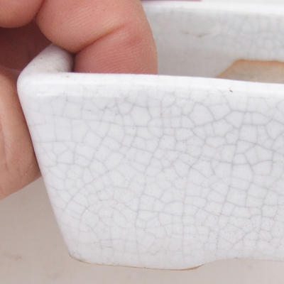 Keramik Bonsai Schüssel 10 x 7 x 3,5 cm, Krebse Farbe - 2. Qualität - 2