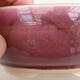 Bonsaischale aus Keramik 14 x 14 x 6 cm, Farbe rosa - 2/3