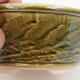 Bonsaischale aus Keramik 15 x 15 x 6 cm, Farbe grün - 2/3