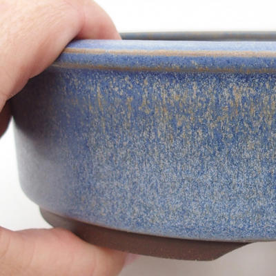 Bonsaischale aus Keramik 16 x 16 x 5 cm, Farbe blau - 2
