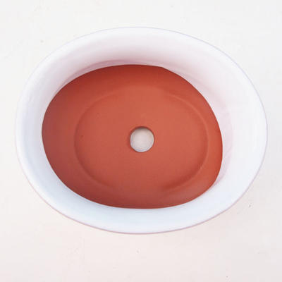 Keramik Bonsai Schüssel H 30 - 12 x 10 x 5 cm, weiß - 12 x 10 x 5 cm - 2