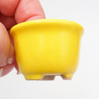 Mini Bonsai Schüssel 4 x 4 x 3 cm, gelbe Farbe - 2