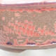 Keramik Bonsai Schüssel 18 x 18 x 5,5 cm, burgunder Farbe - 2/3