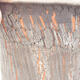 Keramische Bonsai-Schale 13 x 13 x 13,5 cm, graue Farbe - 2/3