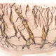 Keramik Bonsai Schüssel 16 x 16 x 7 cm, Farbe gelb rissig - 2/4