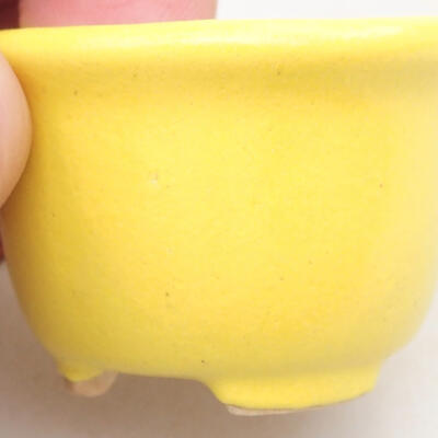 Mini Bonsai Schüssel 3,5 x 3,5 x 2,5 cm, gelbe Farbe - 2