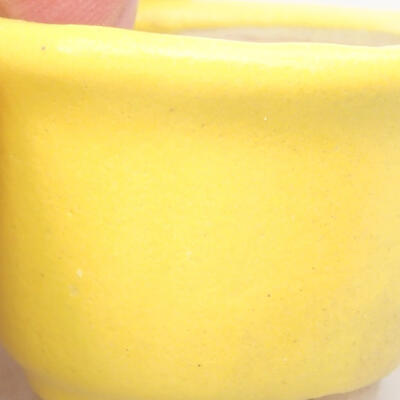 Mini Bonsai Schüssel 3,5 x 3,5 x 2,5 cm, gelbe Farbe - 2