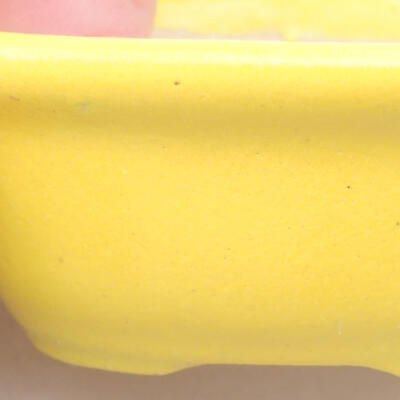 Mini Bonsai Schüssel 6 x 5 x 2,5 cm, Farbe gelb - 2