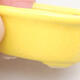 Mini Bonsai Schüssel 6 x 3,5 x 2 cm, Farbe gelb - 2/3