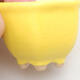 Mini Bonsai Schüssel 3,5 x 3,5 x 3 cm, Farbe gelb - 2/3