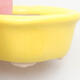 Mini Bonsai Schüssel 4 x 3,5 x 2,5 cm, Farbe gelb - 2/3