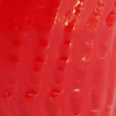 Keramik-Bonsaischale 10 x 10 x 11,5 cm, Farbe Rot - 2