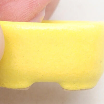 Mini Bonsai Schüssel 2,5 x 2 x 1,5 cm, Farbe gelb - 2