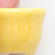 Mini Bonsai Schüssel 2 x 2 x 1,5 cm, Farbe gelb - 2/3